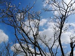 -白鹭湾湿地公园