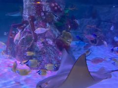 -沈阳海洋探索中心