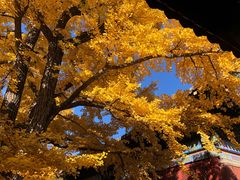 -红螺寺