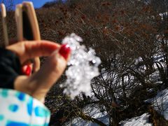 -太子岭滑雪场