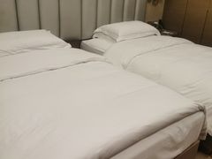 -圣爵菲斯大酒店(长沙世界之窗店)