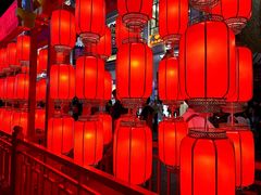 -越秀西湖花市(广州城市广场花卉店)