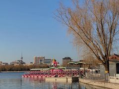 -莲花池公园