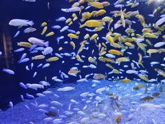 -成都浩海立方海洋公园