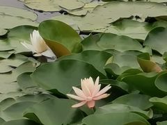 -箸福·夜上海(月牙湖公园店)