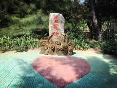 -北海金海湾红树林生态旅游区