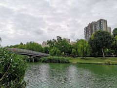 -南翔镇银翔湖公园