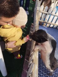 -萌宠亲子动物乐园(槐房万达店)