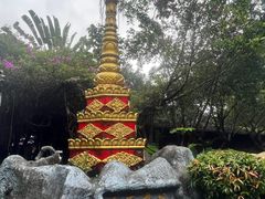 -瑞丽独树成林风景区