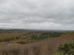 -塞罕坝国家级自然保护区