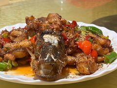 -煲来饱去冷水鱼