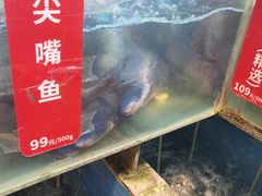 -老凯俚酸汤鱼(鸿通城店)