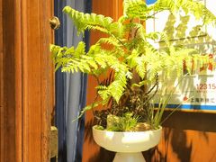 -叶叶菩提(太原别墅店)