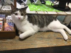 -小时光咖啡馆(开森度假森林店)