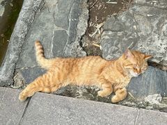 -红螺寺