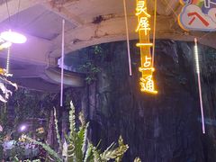 -正佳雨林生态植物园