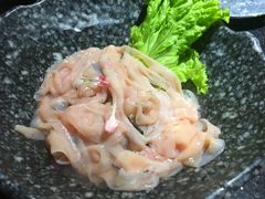 空运鲜鸭肠-渝利重庆火锅