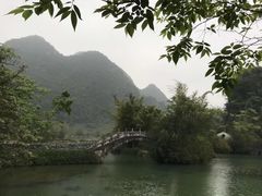-靖西鹅泉风景区