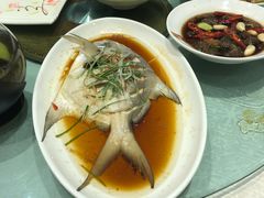 -渔人码头(中南店)