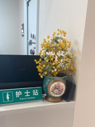 -北京楚诺医疗美容