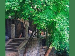 -崂山巨峰游览区