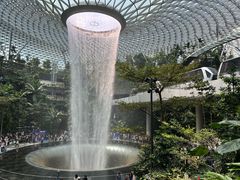 -新加坡航空公司(ION)