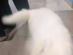 -泉州海丝野生动物世界