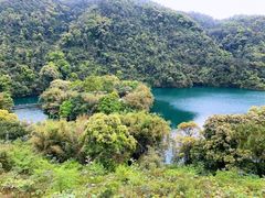 -鼎湖山风景区