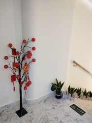 -海涛医疗美容·面部抗衰·注射美鼻