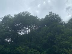 -宁波五龙潭景区