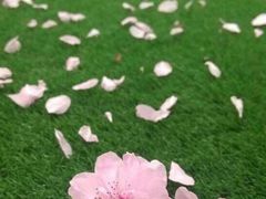 -麦当劳(欢乐谷店)