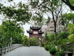 -黄鹤楼公园(黄鹤楼)