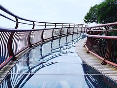 -少华山国家森林公园