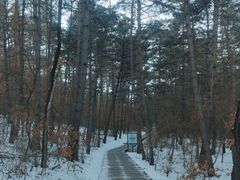 -帽儿山国家森林公园