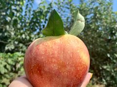 -水库活鱼馆(于桥水库店)