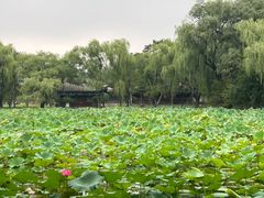 -承德避暑山庄景区