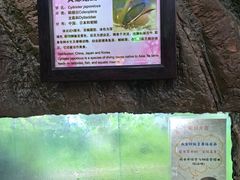 -上海大自然野生昆虫馆(东方明珠·爬宠昆虫探索中心)