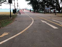 -东海岸人工湖美食村