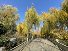 -济南大明湖景区