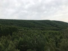 -塞罕坝国家级自然保护区