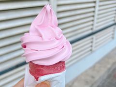 -麦当劳(王顶堤店)