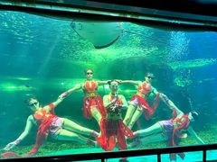 -大明湖海底世界
