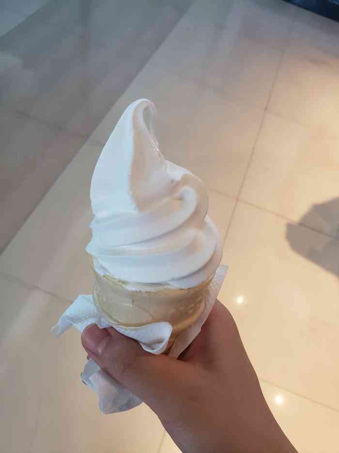 打分 好久没有吃甜筒了,美味!奶味好足.香芋派热热的好好吃