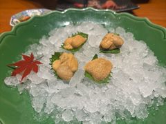 -月龍吟(朝龙汇店)
