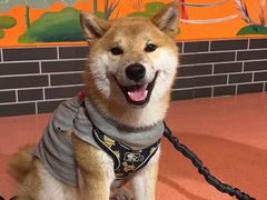 -王老六铁锅炖鱼(翠微店)
