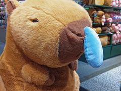 -TheGreenParty(槐房万达店)