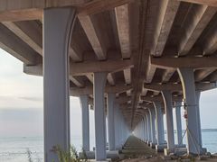 -宝安西湾红树林湿地公园