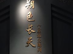 -宁夏博物馆