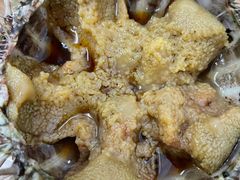 -海胆小馆(东北水饺·春柳店)