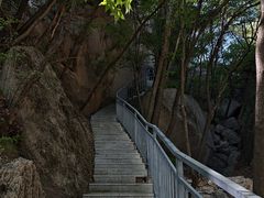 -六里坪国家森林公园